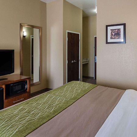 Comfort Inn Midland South I-20 Dış mekan fotoğraf