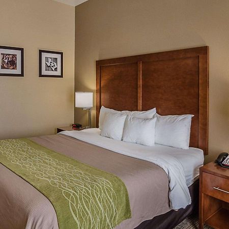Comfort Inn Midland South I-20 Dış mekan fotoğraf